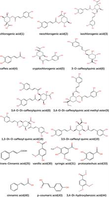 Lonicerae Japonicae Caulis: a review of its research progress of active metabolites and pharmacological effects